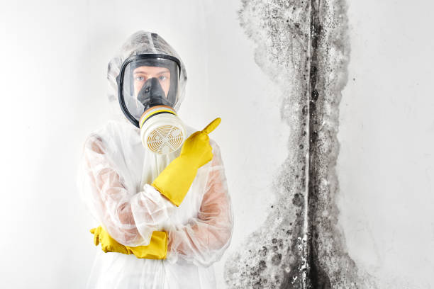 Best Mold Remediation for Healthcare Facilities  in Mount Olive, MS